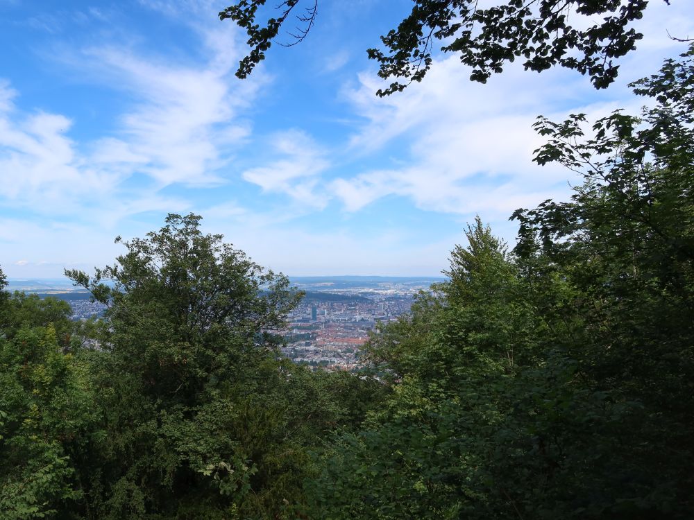 Zürich über den Bäumen