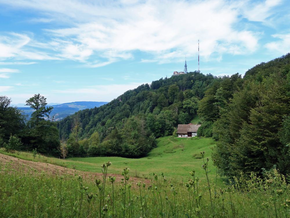 Blick Richtung Uetliberg