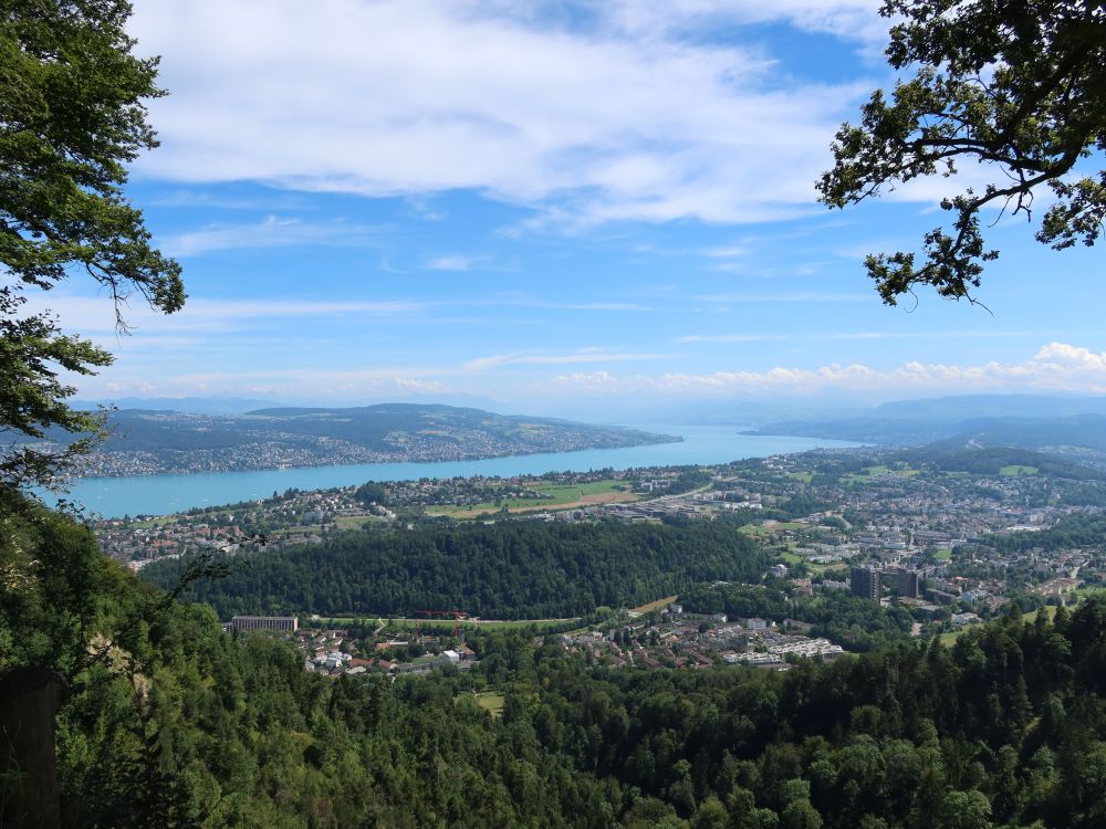 Blick übern Zürichsee