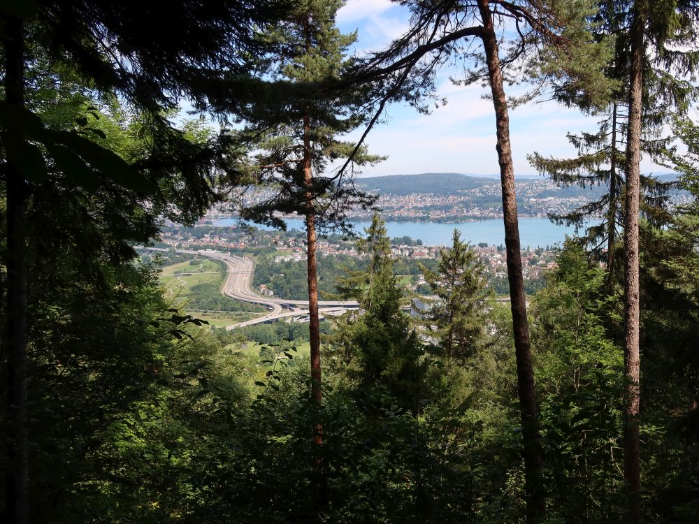 Autobahnkreuz Zürich Süd und Zürichsee