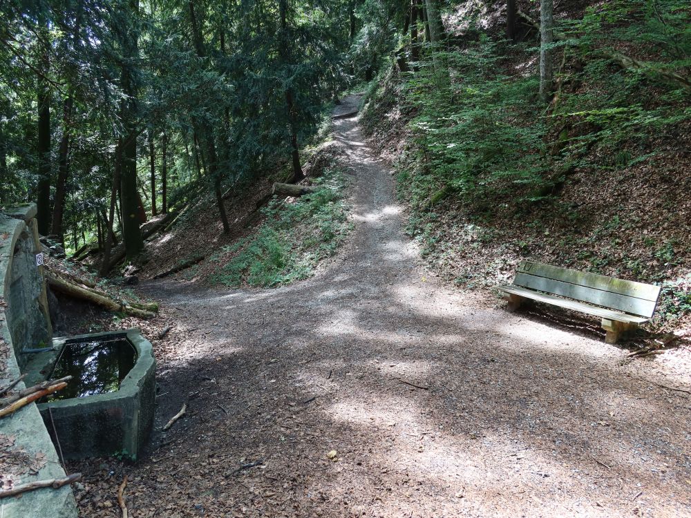 Brunnen bei Ruine Manegg