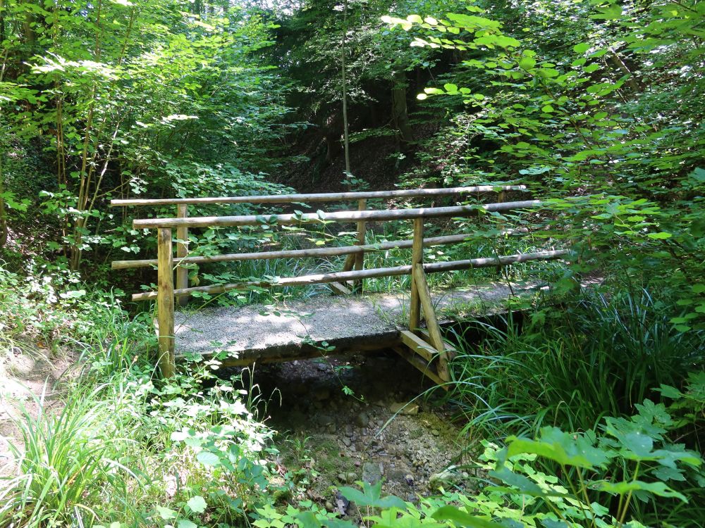 Holzsteg