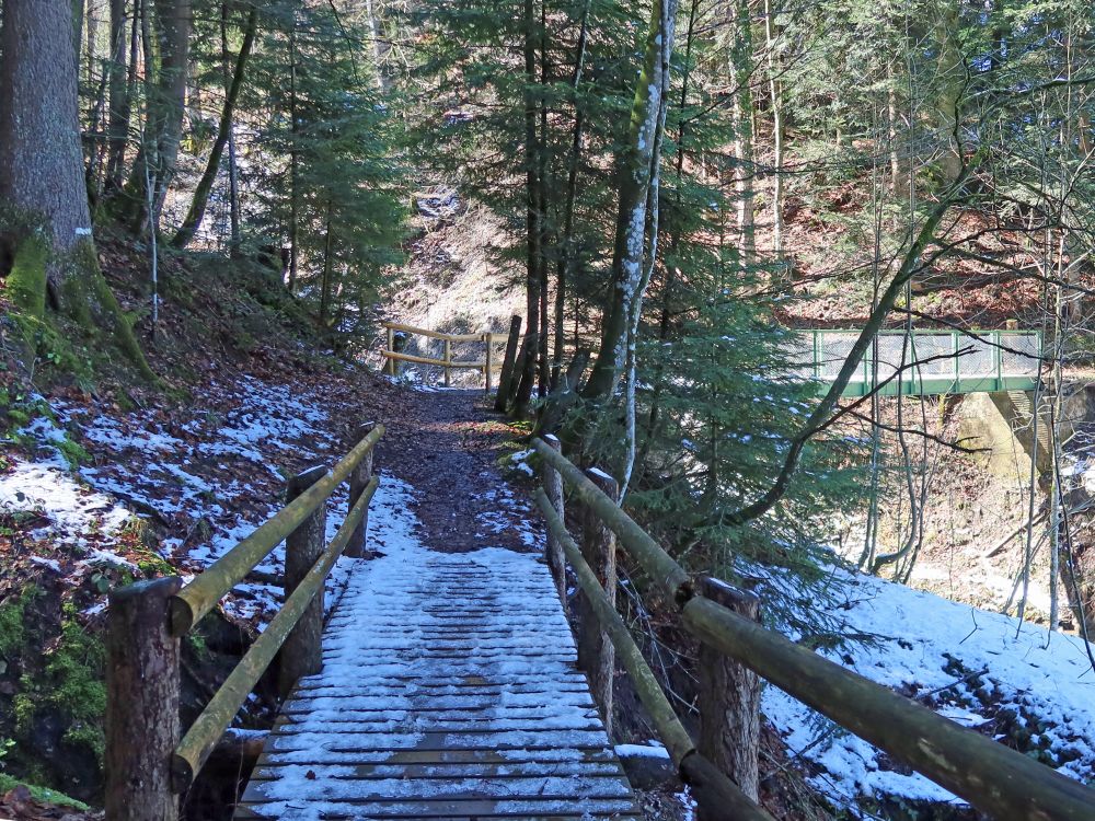 Stege im Rütiweiherwald