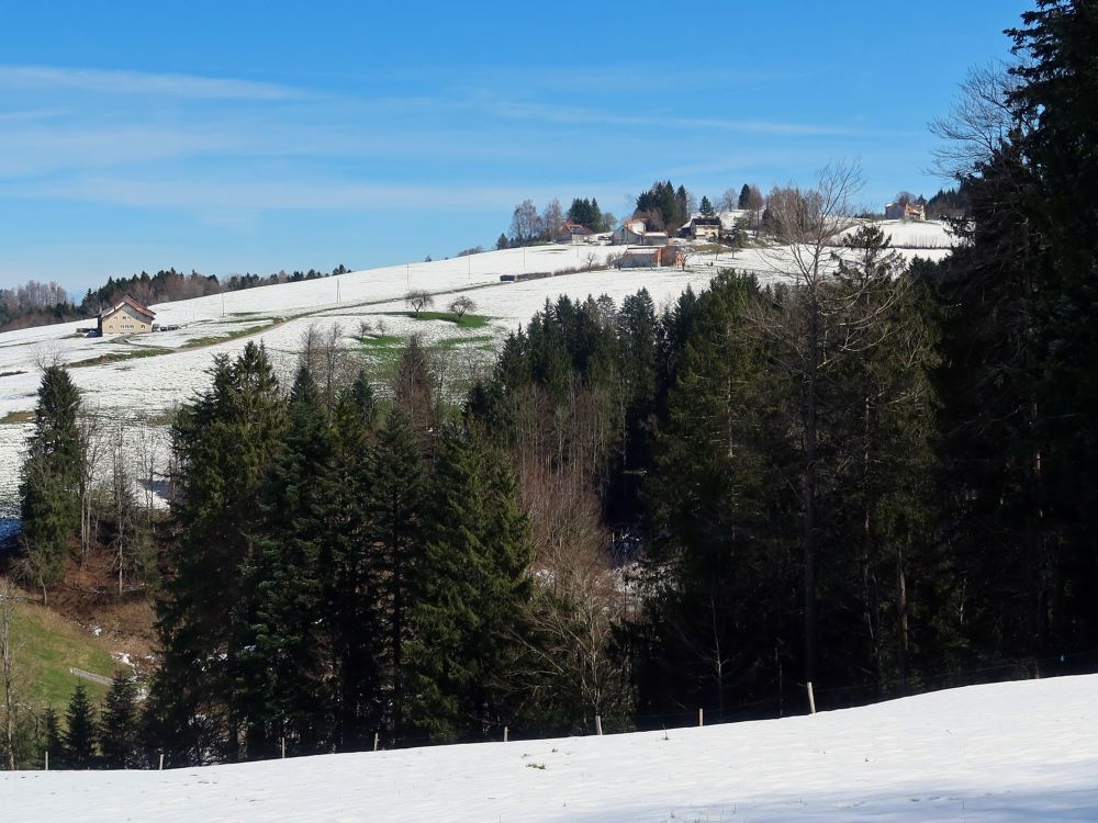 Blick Richtung Rüti