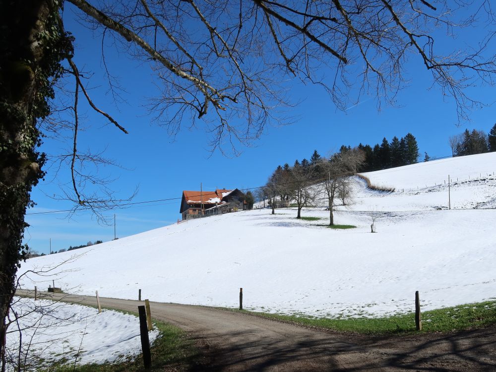 Bauernhof am Stuelegg