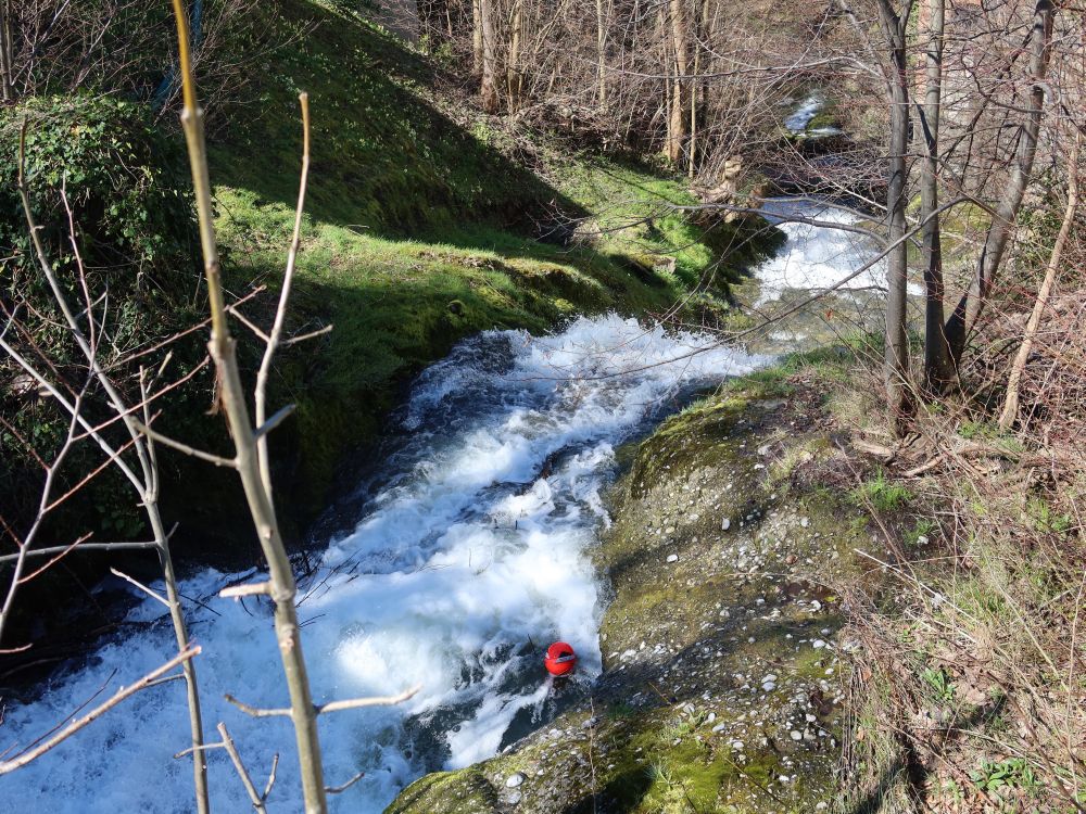 Steinach in der Mülenenschlucht