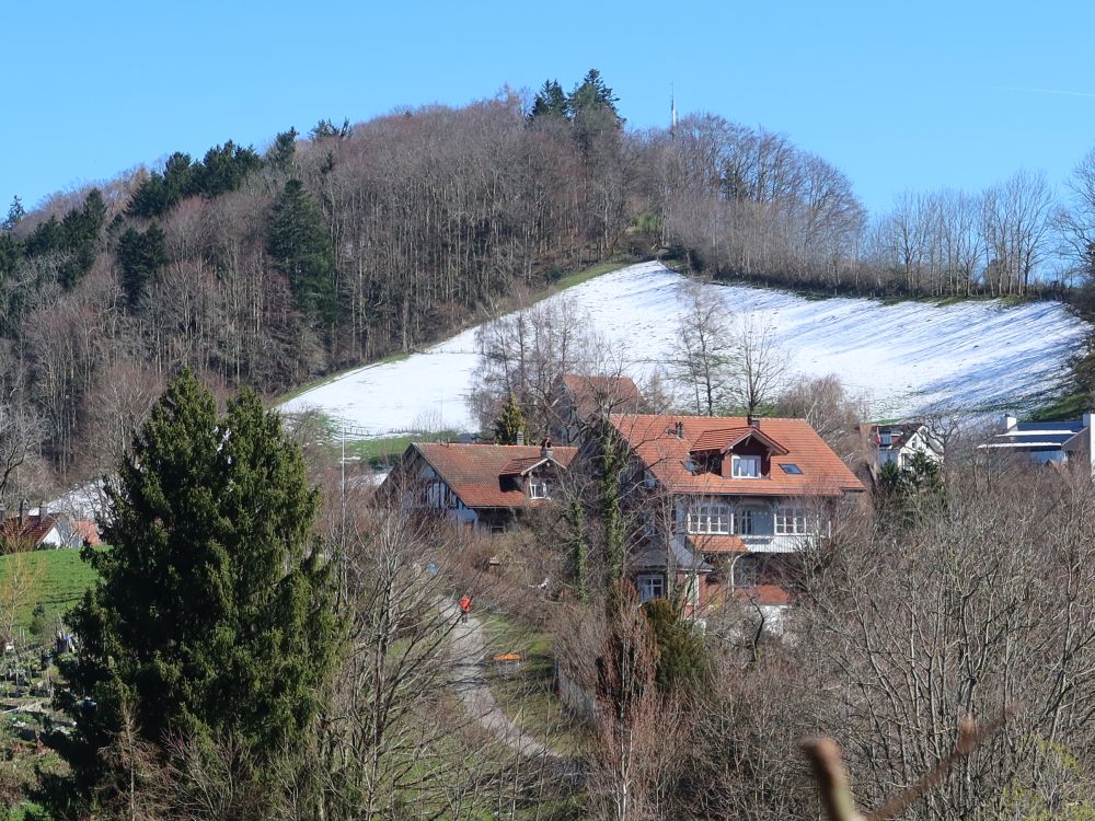 Blick Richtung Freudenberg