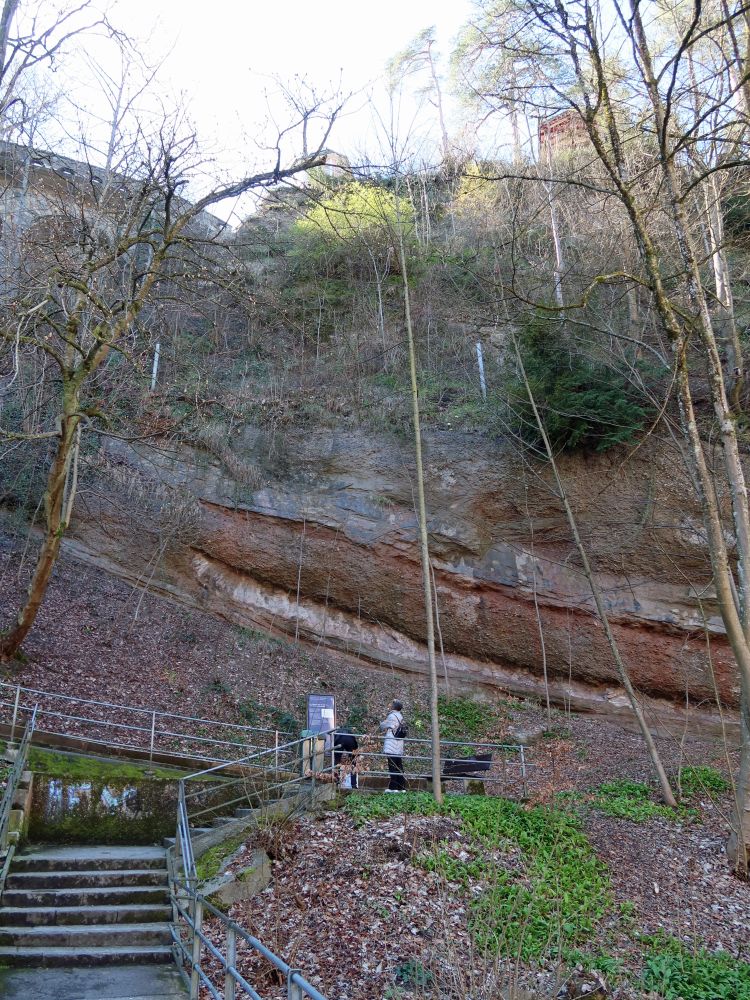 Felswand in der Mülenenschlucht