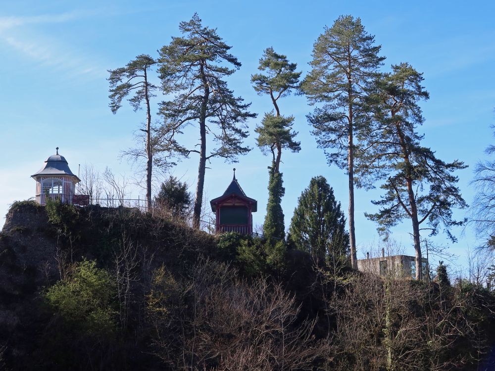 Laube über der Mülenenschlucht