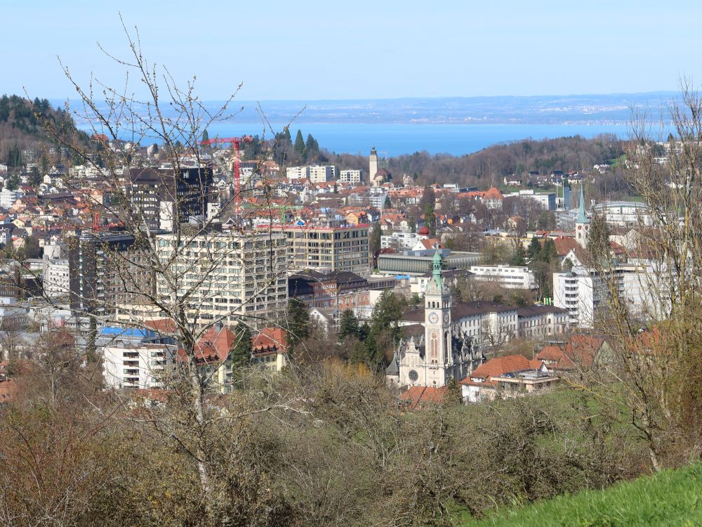 Blick auf St. Gallen mit Bodensee