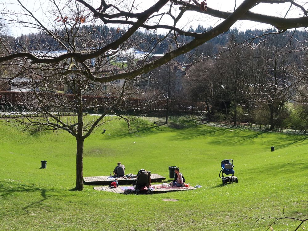 Liegewiese am Mannenweiher