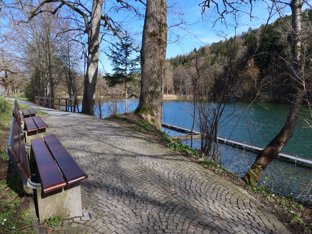 Sitzbänke am Bubenweiher