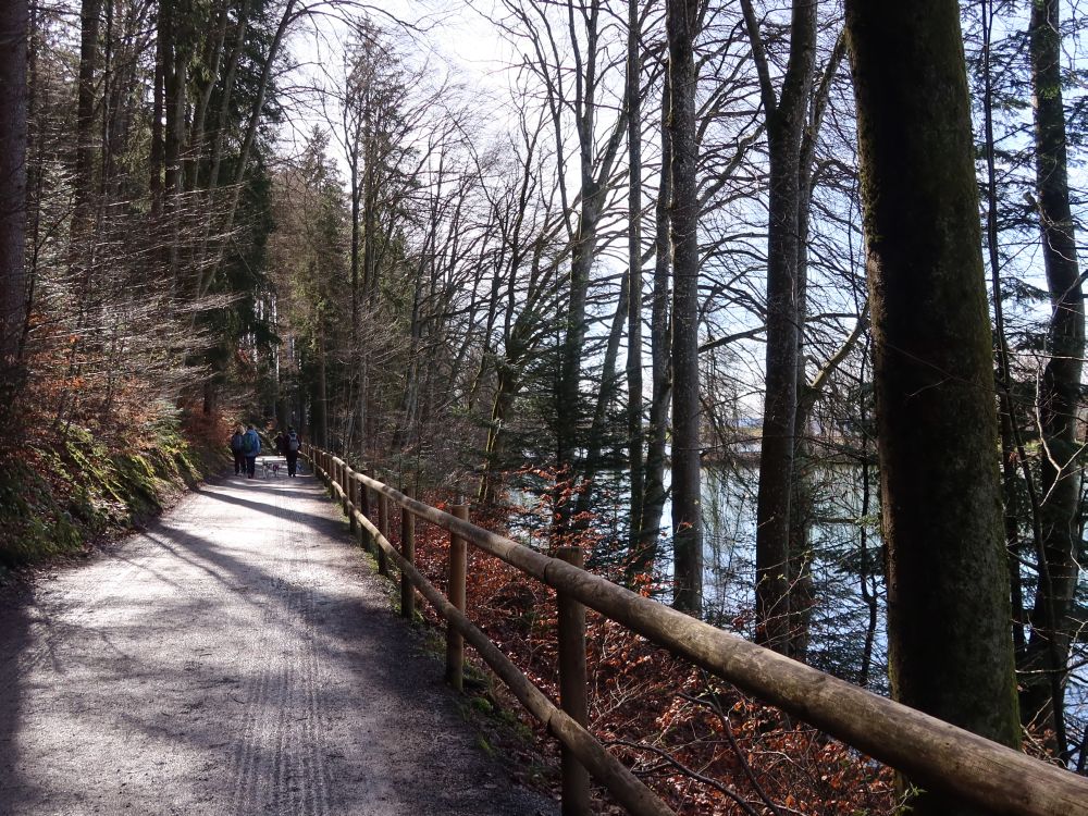 Bitzistrasse am Frauenweiher