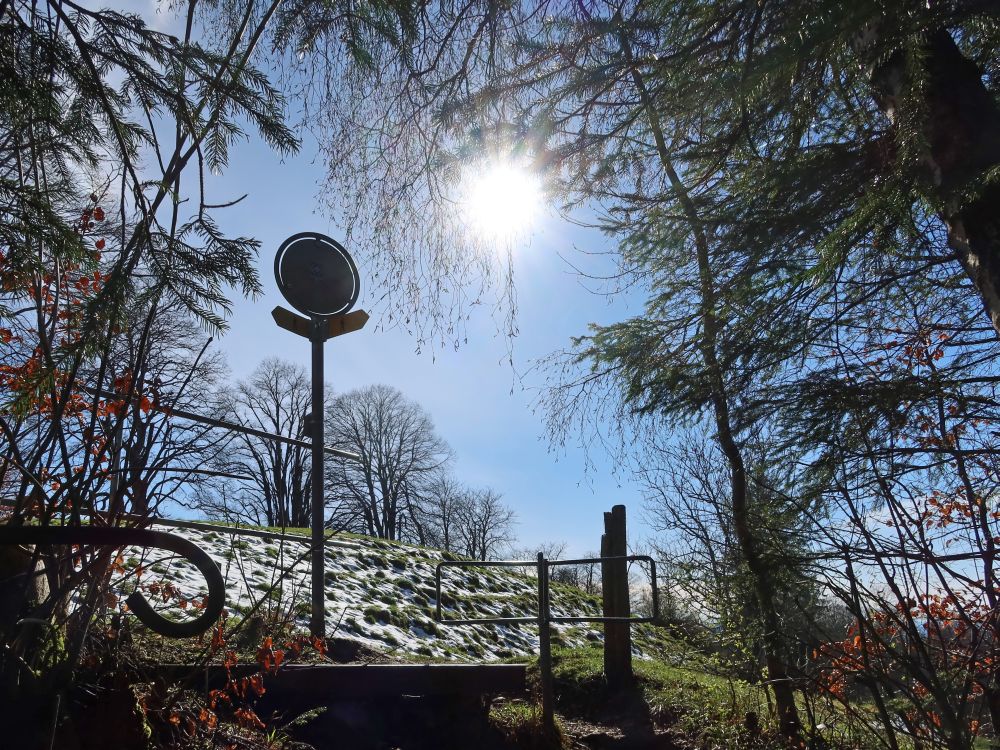 Gegenlicht am Freudenberg