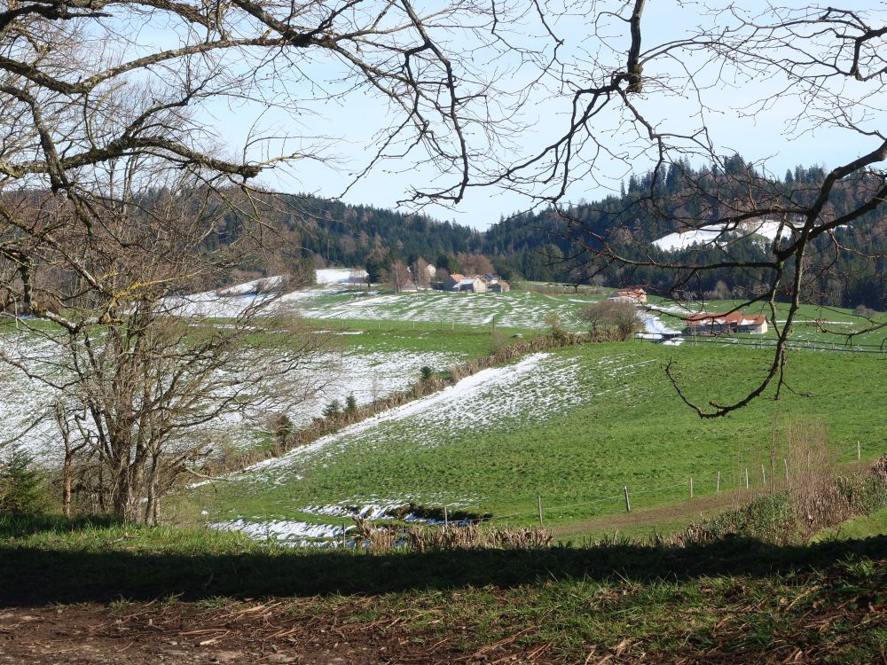 Blick Richtung Rüti