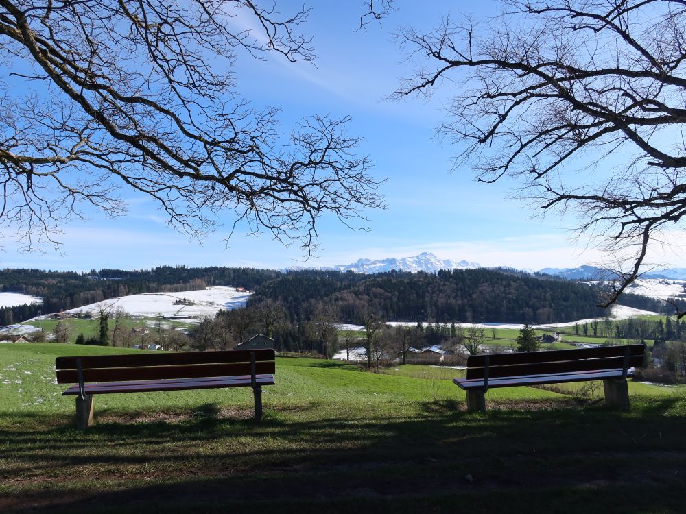 Sitzbänke mit Säntisblick