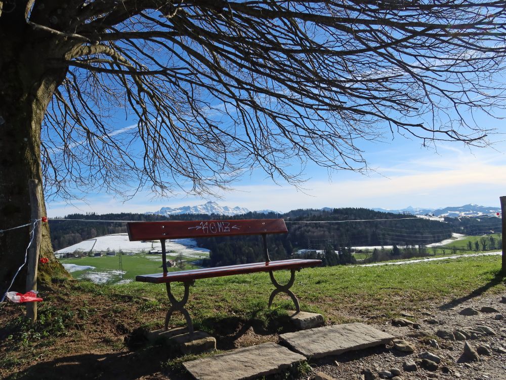 Sitzbank am Kapf mit Säntis