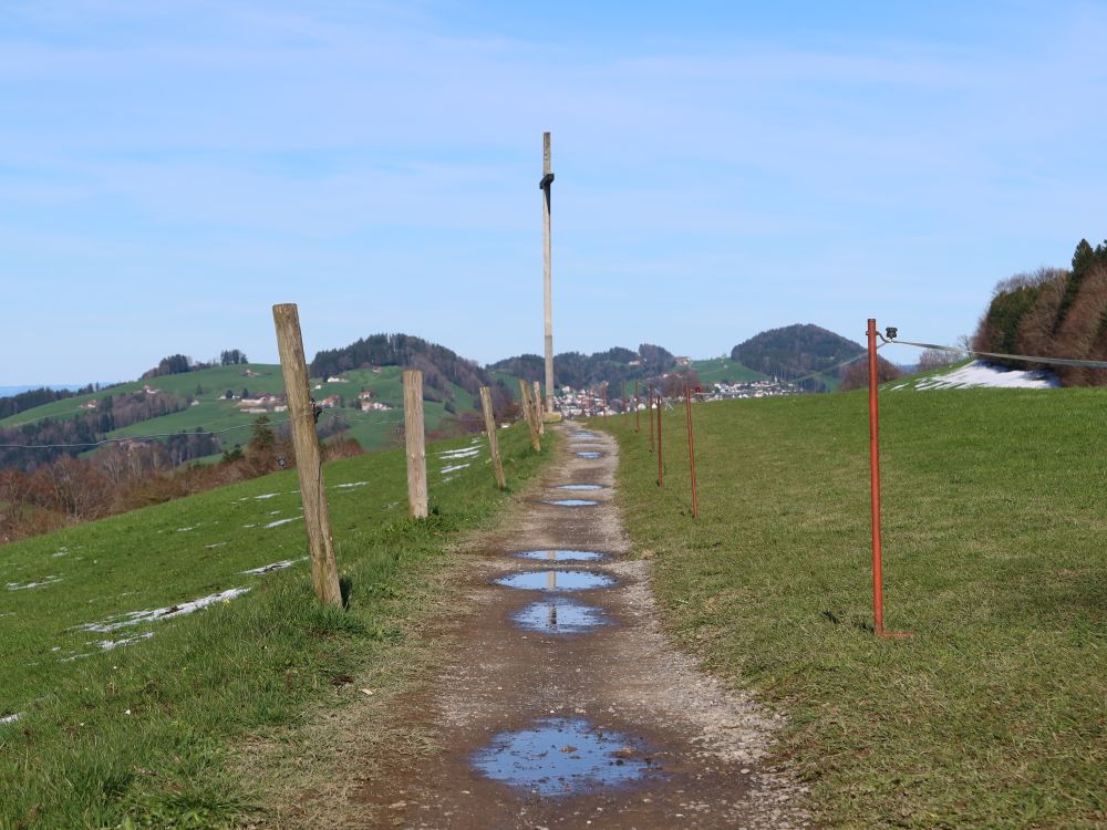 Weg mit Pfützen am Kapf