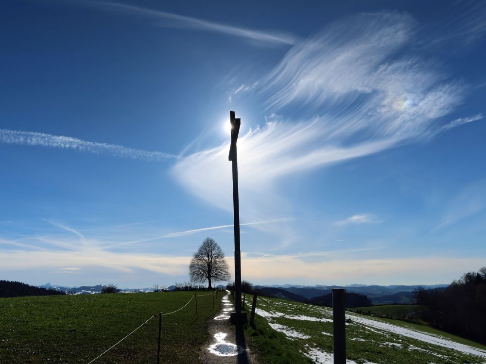 Linde und Kreuz am Kapf