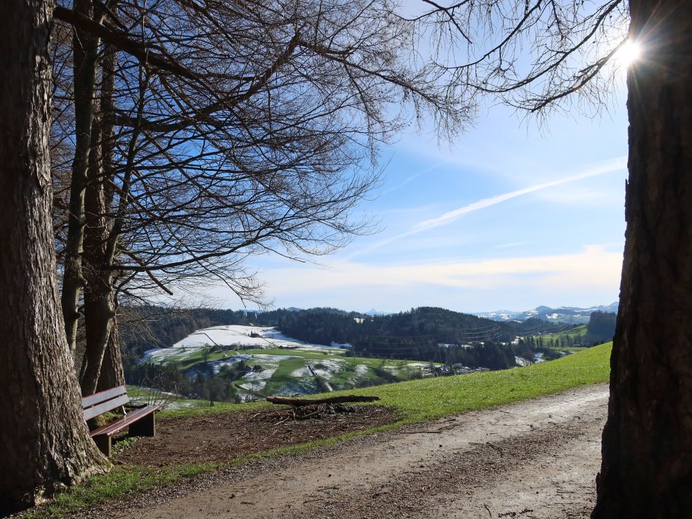 Sitzbank am Kapfwald