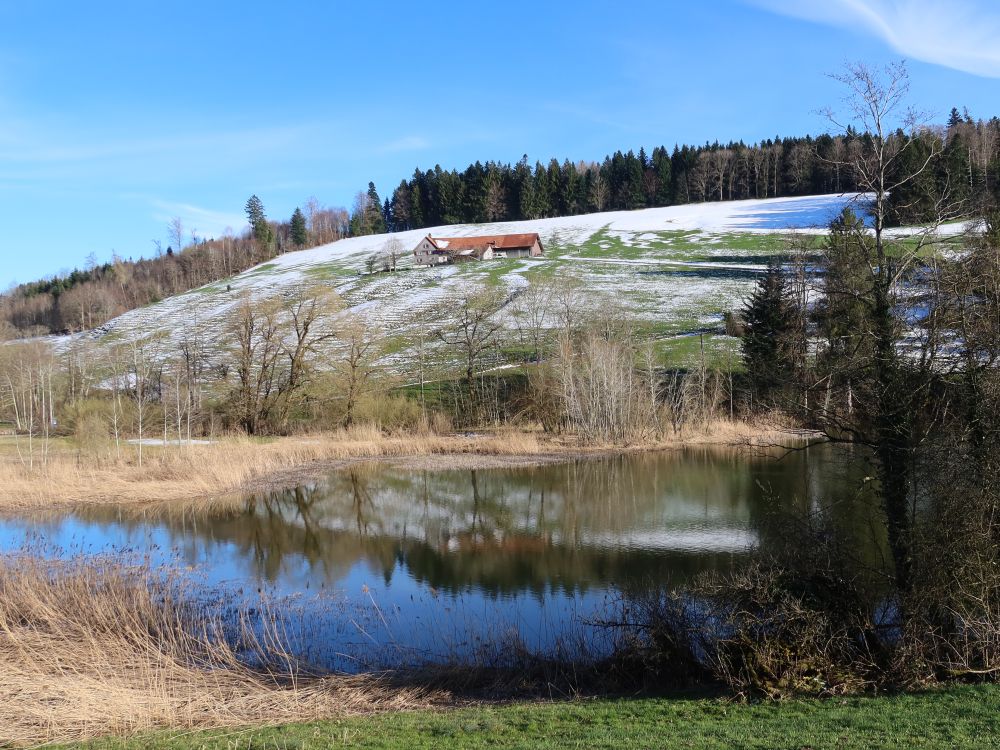 Bauernhof Büchel überm Wenigerweiher