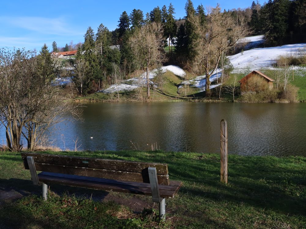 Sitzbank am Wenigerweiher