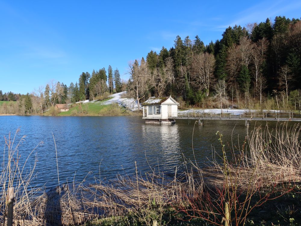 Wenigerweiher