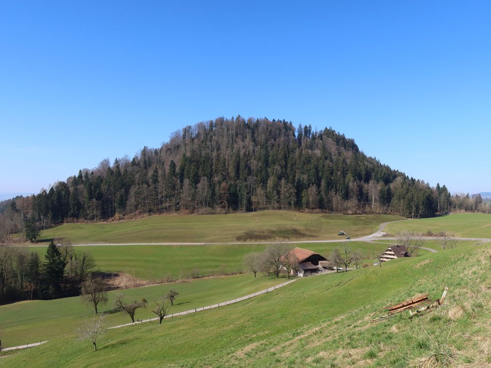 Baarburg der Berg