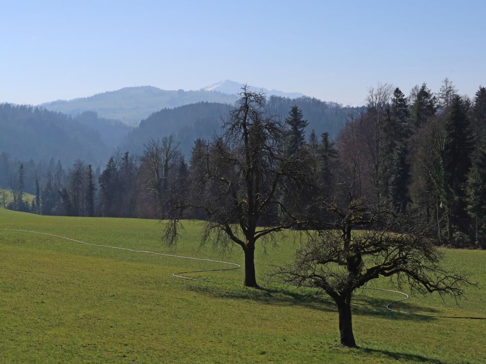 Hochstock und Rigi