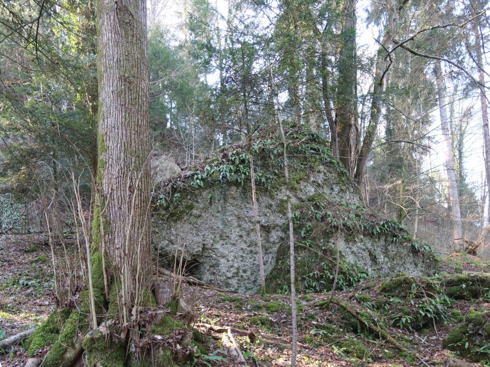 Fels an der Baarburg