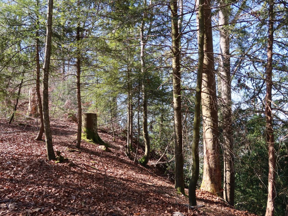 Bergkante auf der Baarburg