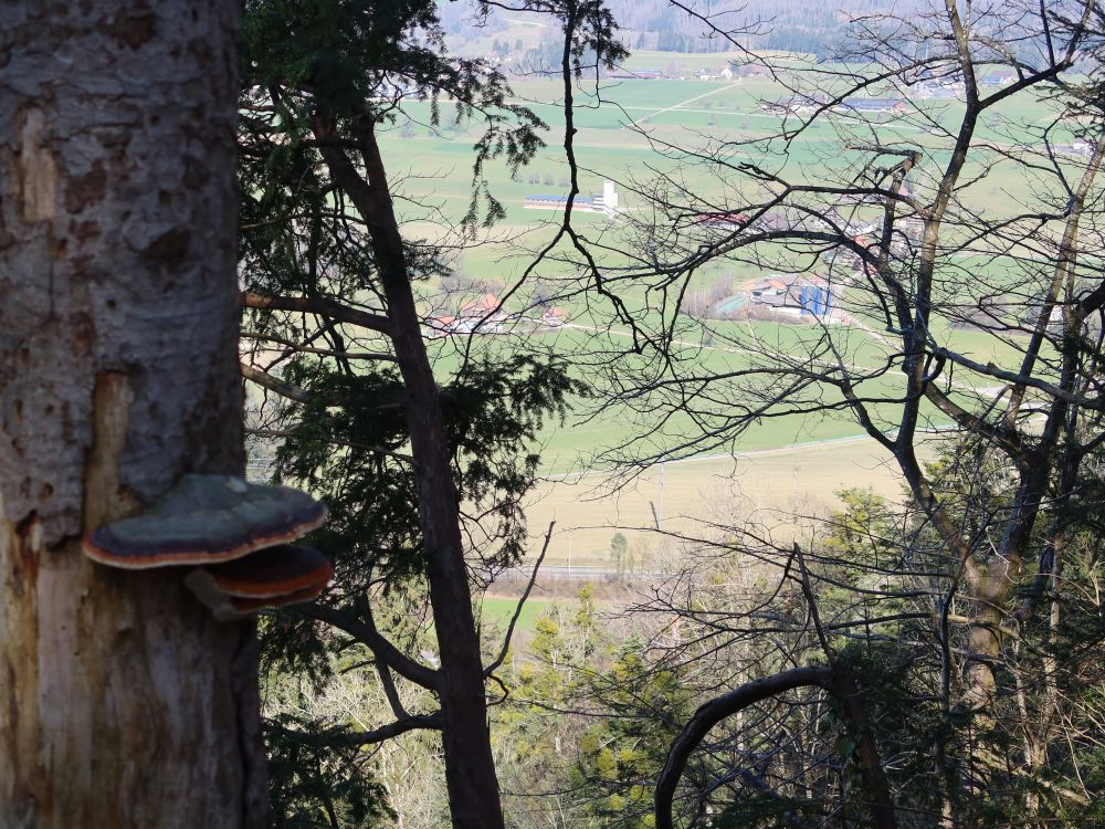 Blick von der Baarburg