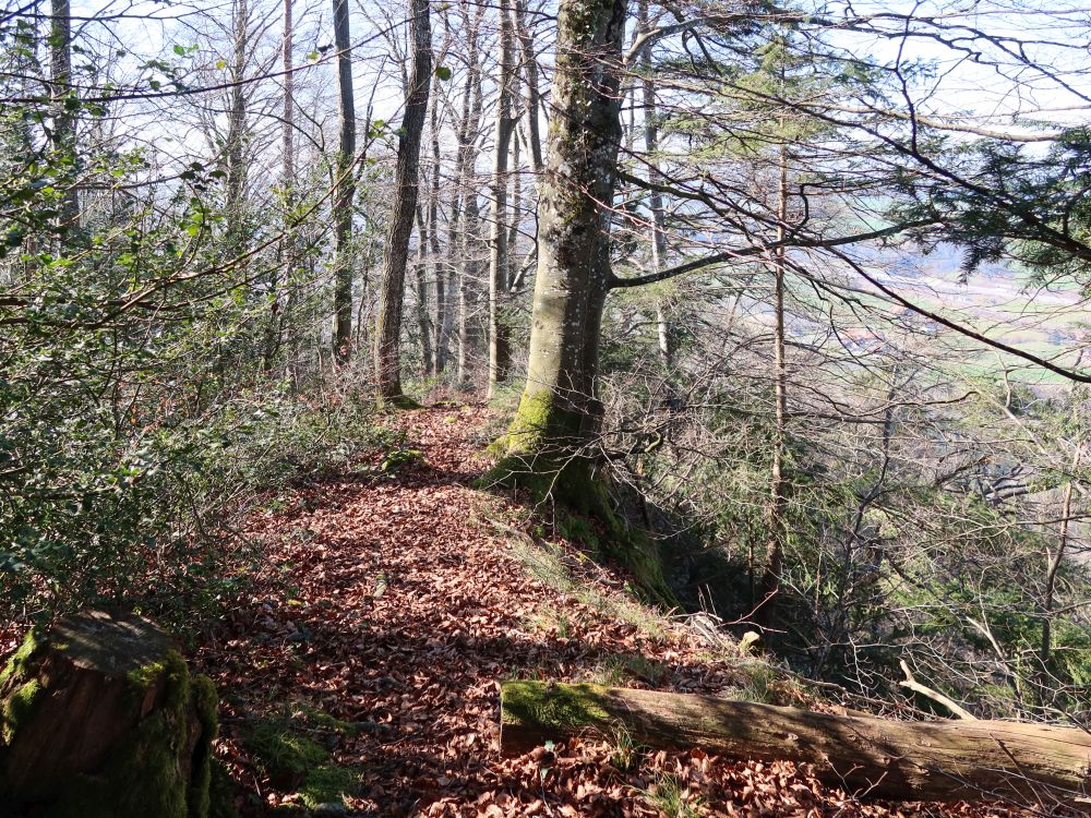 Pfad an der Bergkante