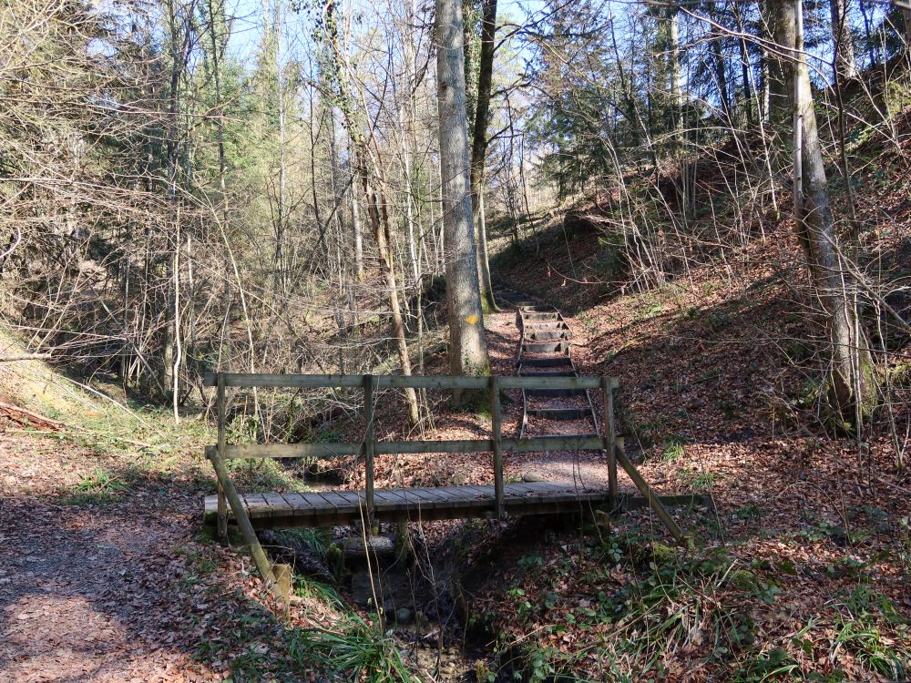 Steg bei Chriesibrunnen