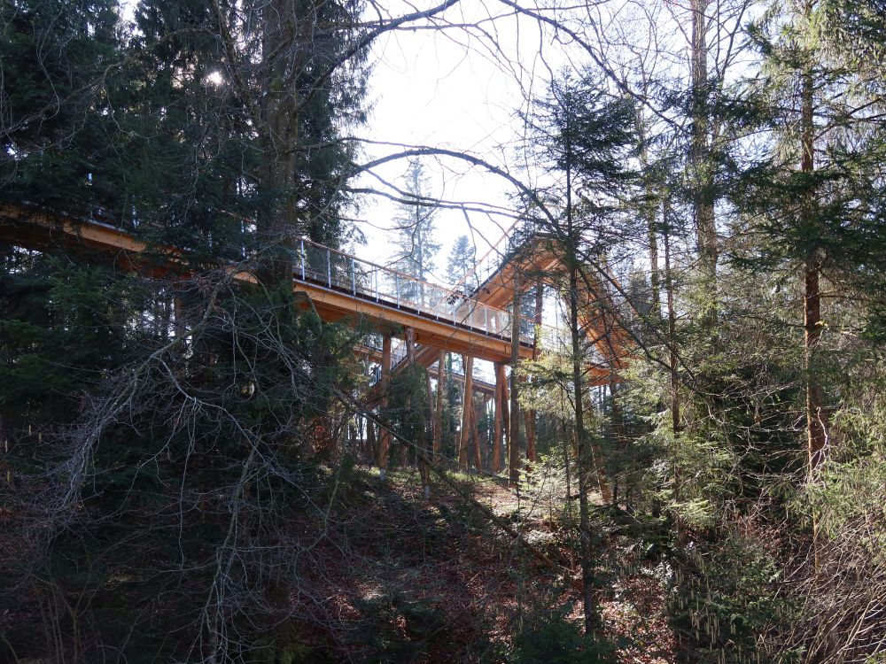 Schlaufensteg