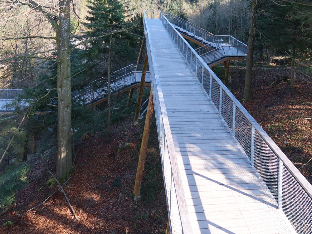 Schlaufensteg