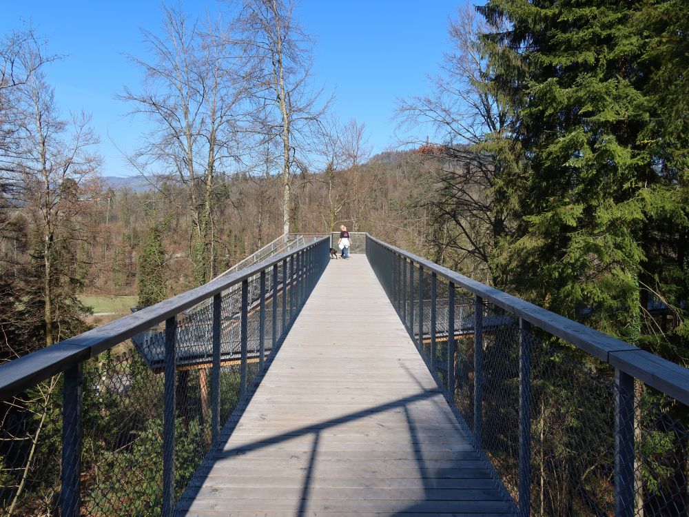 Schlaufensteg