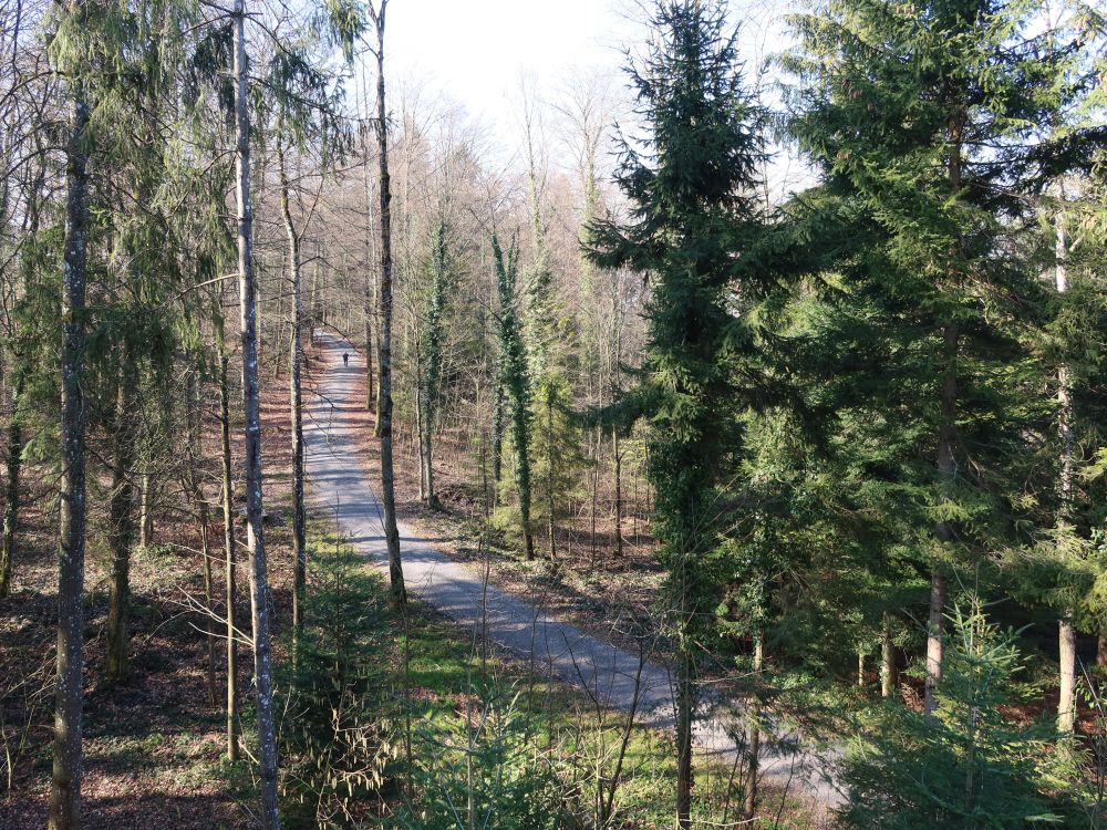 Blick vom Schlaufensteg
