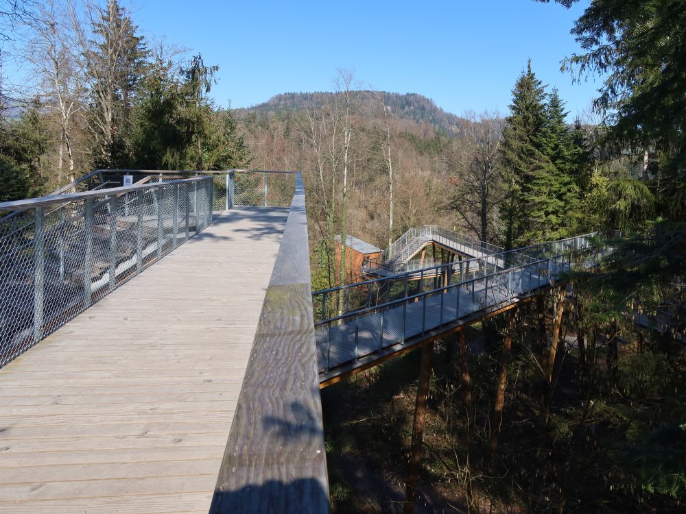 Schlaufensteg