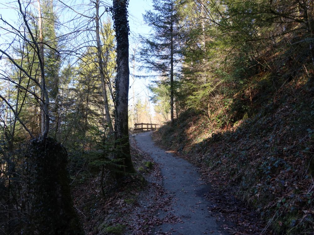 Pfad zu den Höllgrotten