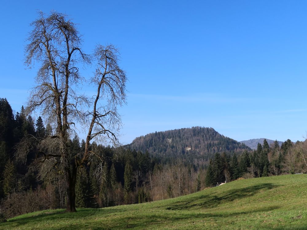 Blick zur Baarburg