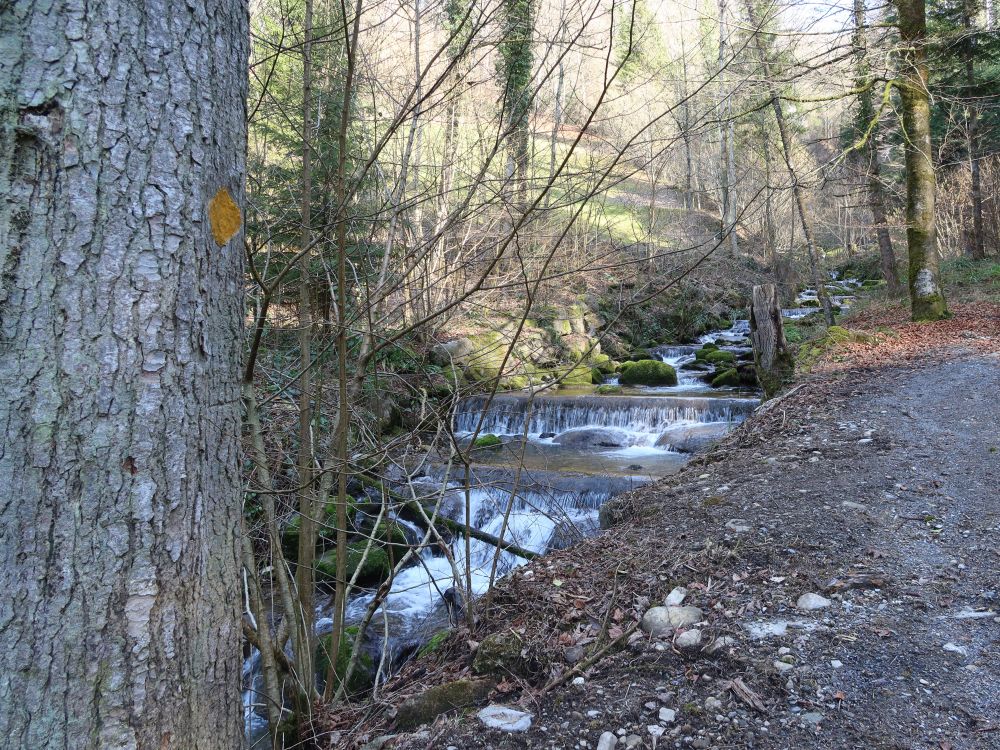 Höllbach