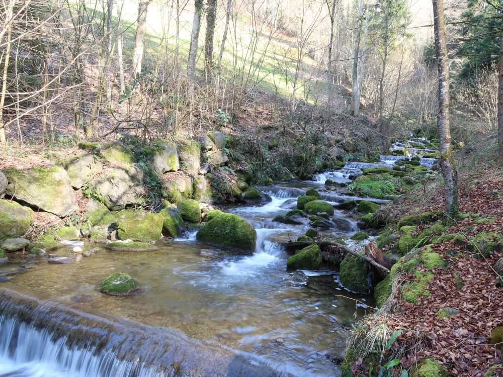 Höllbach
