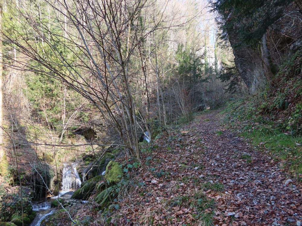 Pfad am Höllbach