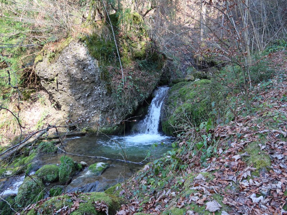Höllbach