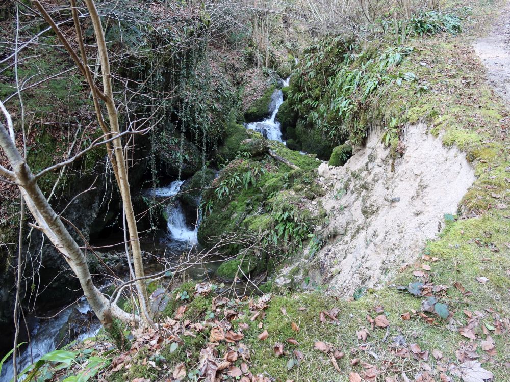 Höllbach