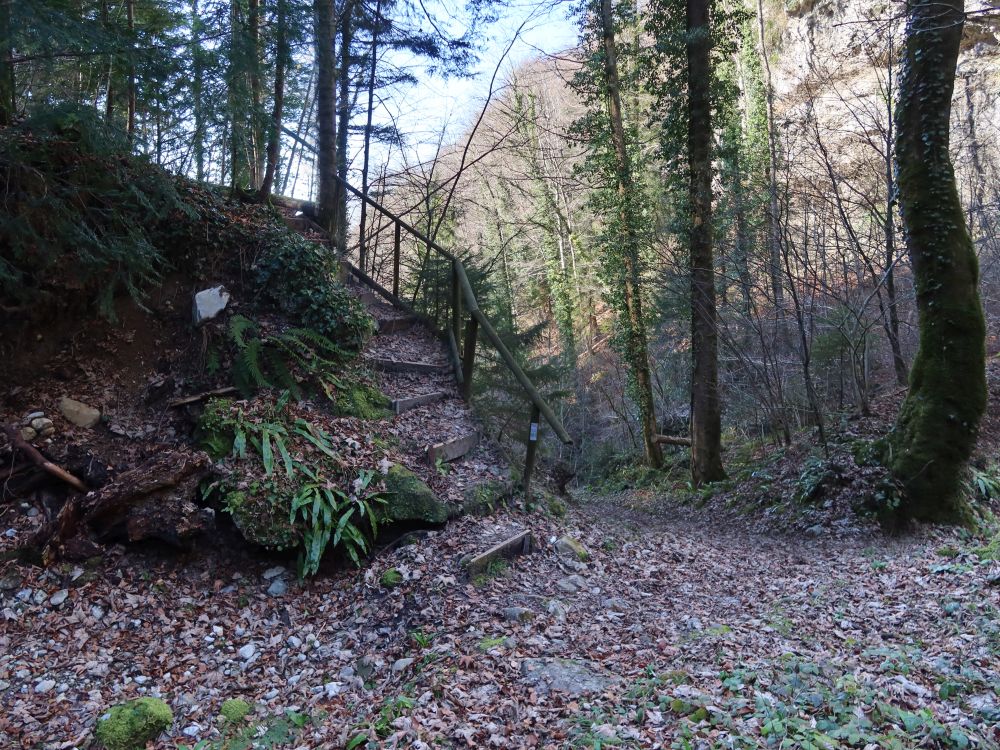 Treppe am Höllbach