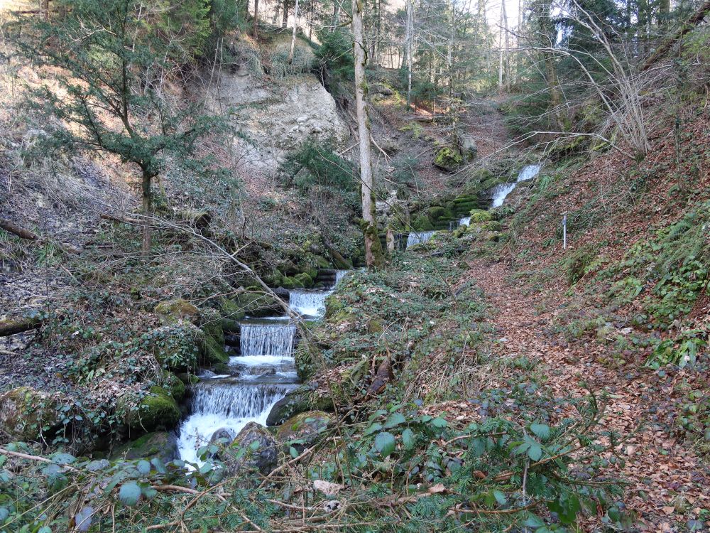 Höllbach