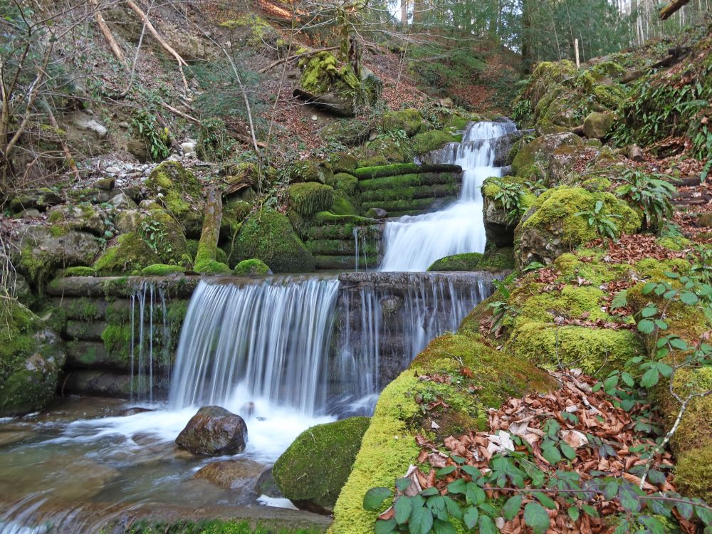 Höllbach
