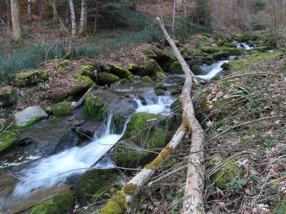 Höllbach